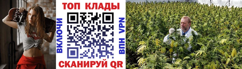 Купить наркотики цена Чехов ГАШ  Каннабис  Мефедрон 