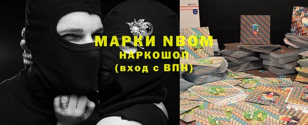 мдпв Белокуриха