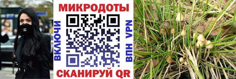 Галлюциногенные грибы Psilocybine cubensis  закладка  Чехов 